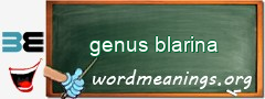 WordMeaning blackboard for genus blarina